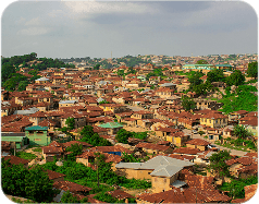 Afro Image 6